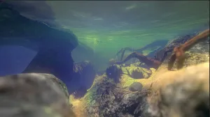 Feed and Grow: Fish 1